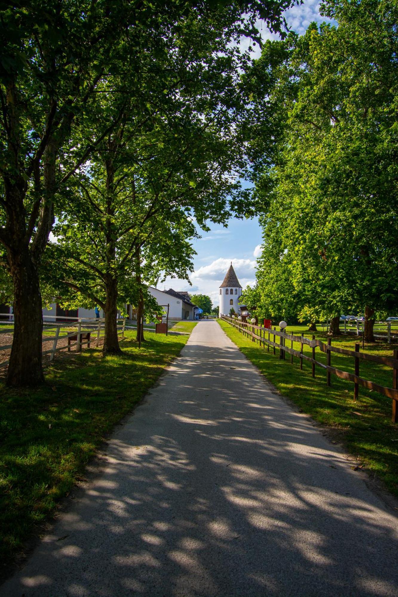 Hotel Villa Majur Суботица Екстериор снимка