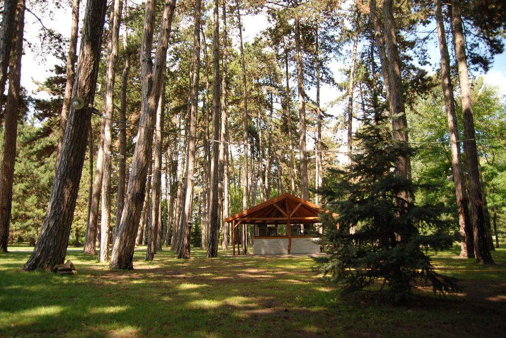 Hotel Villa Majur Суботица Екстериор снимка